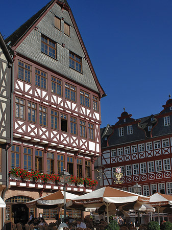 Fotos Haus Löwenstein neben großem Laubenberg | Frankfurt am Main