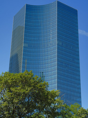 Skyper Foto 