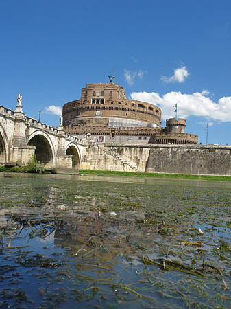 Tiber Foto 