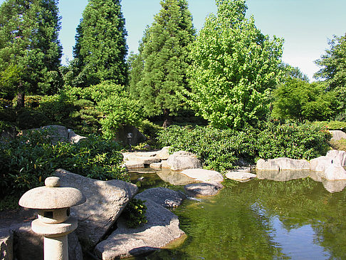 Planten un Blomen - Japanischer Garten Foto 
