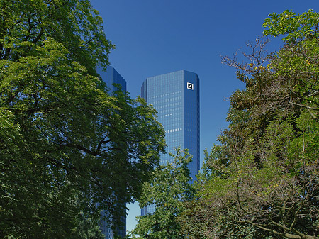 Fotos Deutsche Bank mit Bäumen