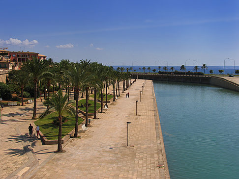 Foto Blick von der Mauer der La Seu - Palma de Maljorka
