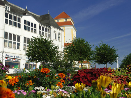 Foto Seebrücke Binz