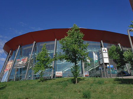 Kölnarena auf einer Wiese Foto 