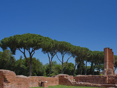 Ruinen am Apollo Tempel Foto 