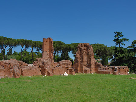 Fotos Ruinen am Apollo Tempel | Rom
